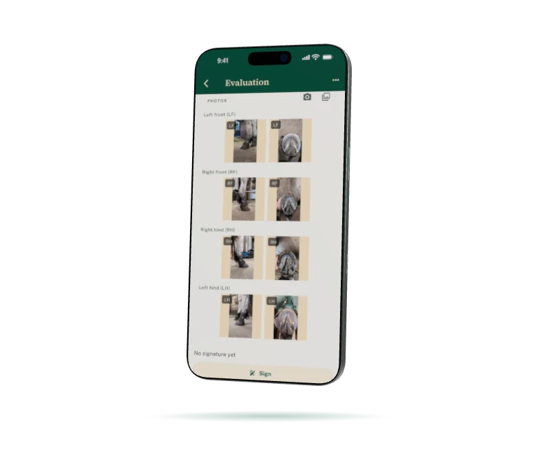 A hoof with its photos